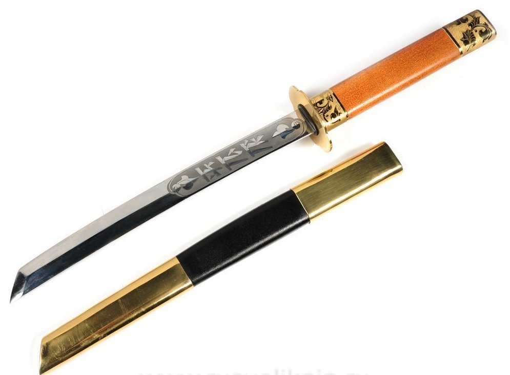 bbacf531a8bcef977d40b8e39cfe1031