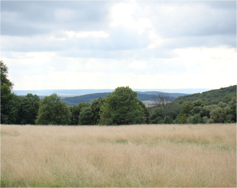 Без имени-1копирование