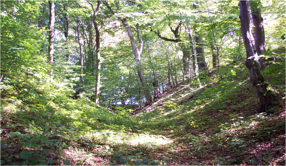 рів та вал 6лінії оборони