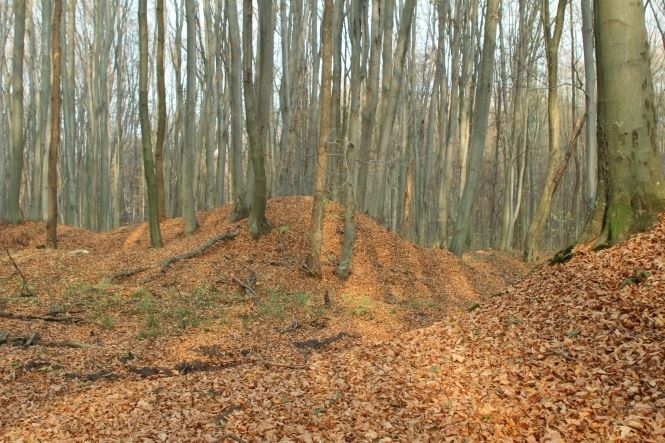 36187981_248664485719842_4328972038141116416_n