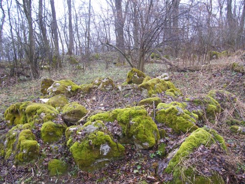 Bohyt_kapyscze_2008_102_0333