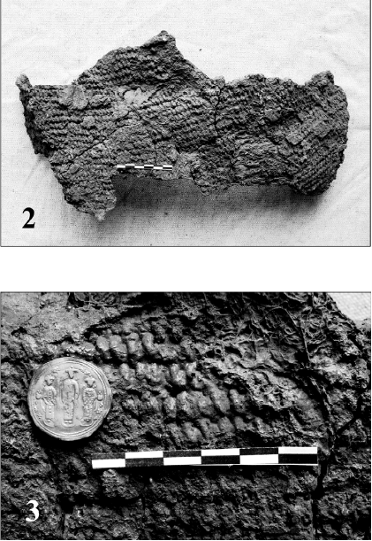 Chain mail from Zurtaket's tomb (Georgia, X-XI c.). Bakradze I. Arms and armoury. P. 81, 97.