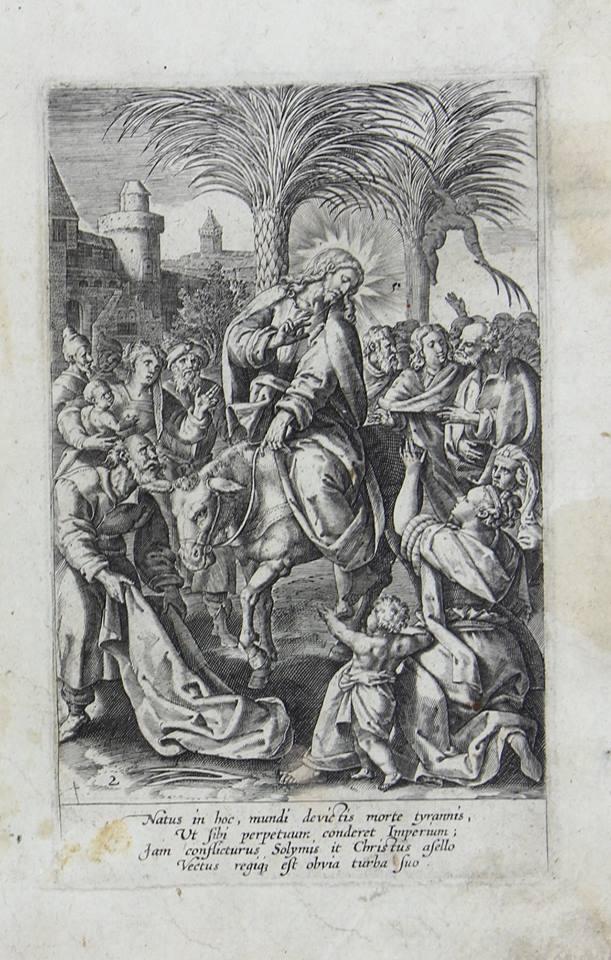 57026459_10157751703460579_1539010915301588992_n (1).jpg